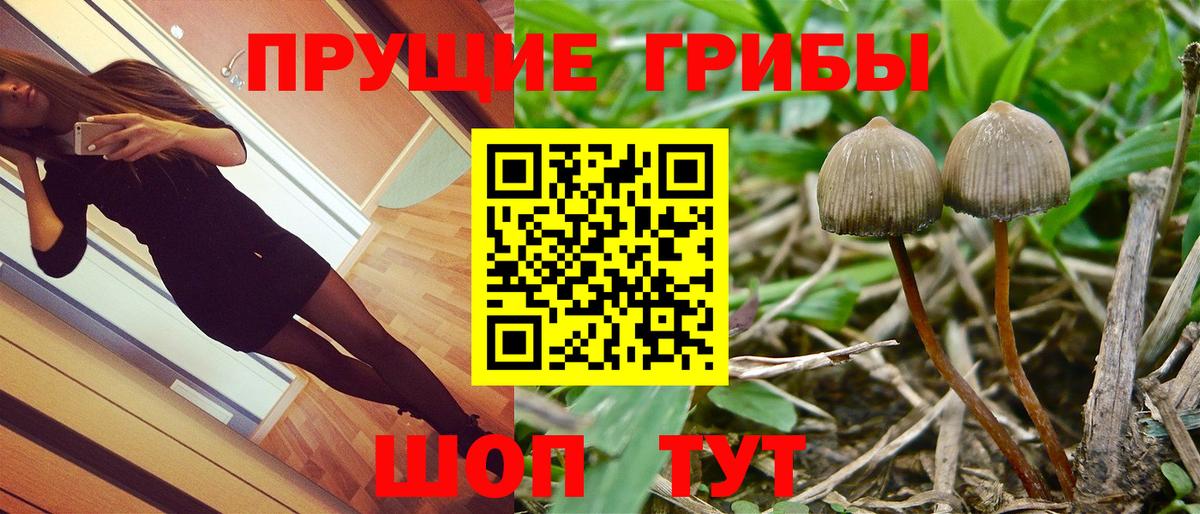 Псилоцибиновые грибы прущие грибы  Вход с VPN  Кировск 