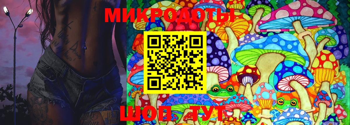 Псилоцибиновые грибы Cubensis Кировск